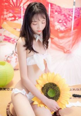 瞒天过海电影简介